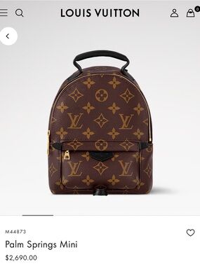 Louis Vuitton PALM SPRINGS Mini Backpack in Brown Monogram Canvas